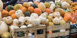Plant Based Performance: Pumpkin Recipes for National Pumpkin Day