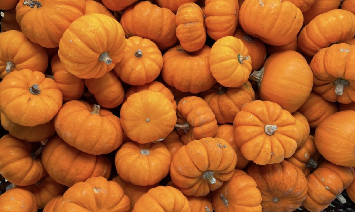 Plant-Based Performance: 3 Ways To Make The Most Out Of Your Halloween Pumpkins