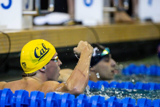 Cal's Bjorn Seeliger, Joshua Thai Named Men's Pac-12 Swimmer & Diver of ...