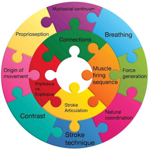 anatomy2 rules of the game Reglas del juego: Parte I