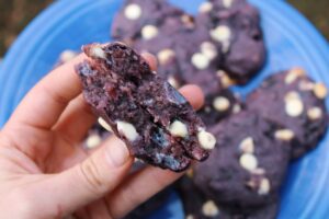 The Hungry Swimmer: Blueberry Cookies