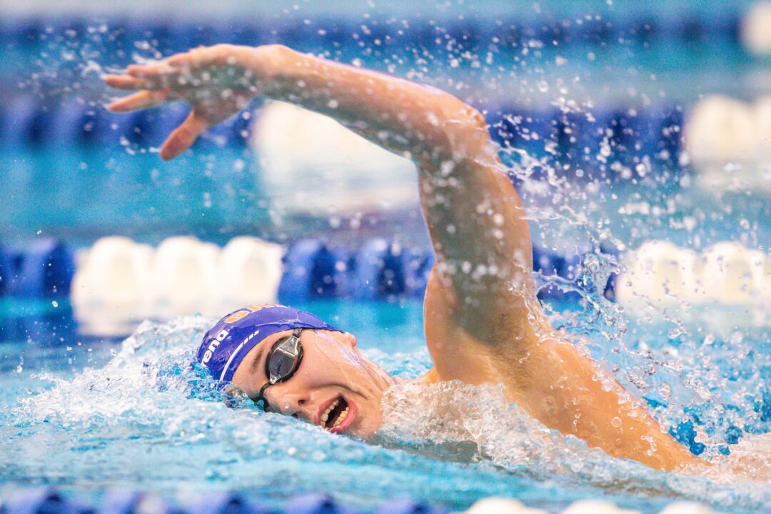 Do You Love Swimming? See 183 Swim Jobs You Might Love