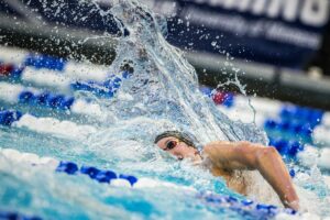 2025 M. NCAA Previews: Team Battle On Full Display In Men’s 1650 Freestyle