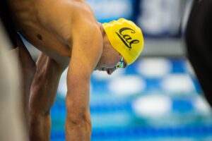 Virginia Women, Cal Men Retain Top Spots In CSCAA October Poll