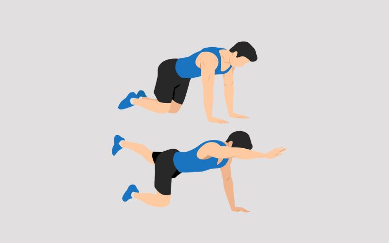 8 Best Core Exercises For Swimmers