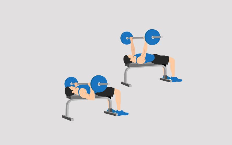 Strength Training Exercises for Swimmers - Bench Press