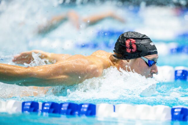 2025 ACC Swimming and Diving Championships: Day 4 Prelims Live Recap