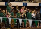 Hannah Burandt Resigns from Cleveland State Head Coach Position After 5 Seasons