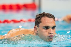 Milak, Kos, and Kesely Share Hungarian Pool Swimmers of the Year Awards