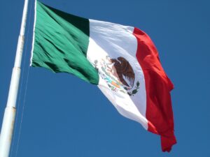 World Aquatics Expels Mexican Swimming Federation; Creates Committee to Recognize New Group