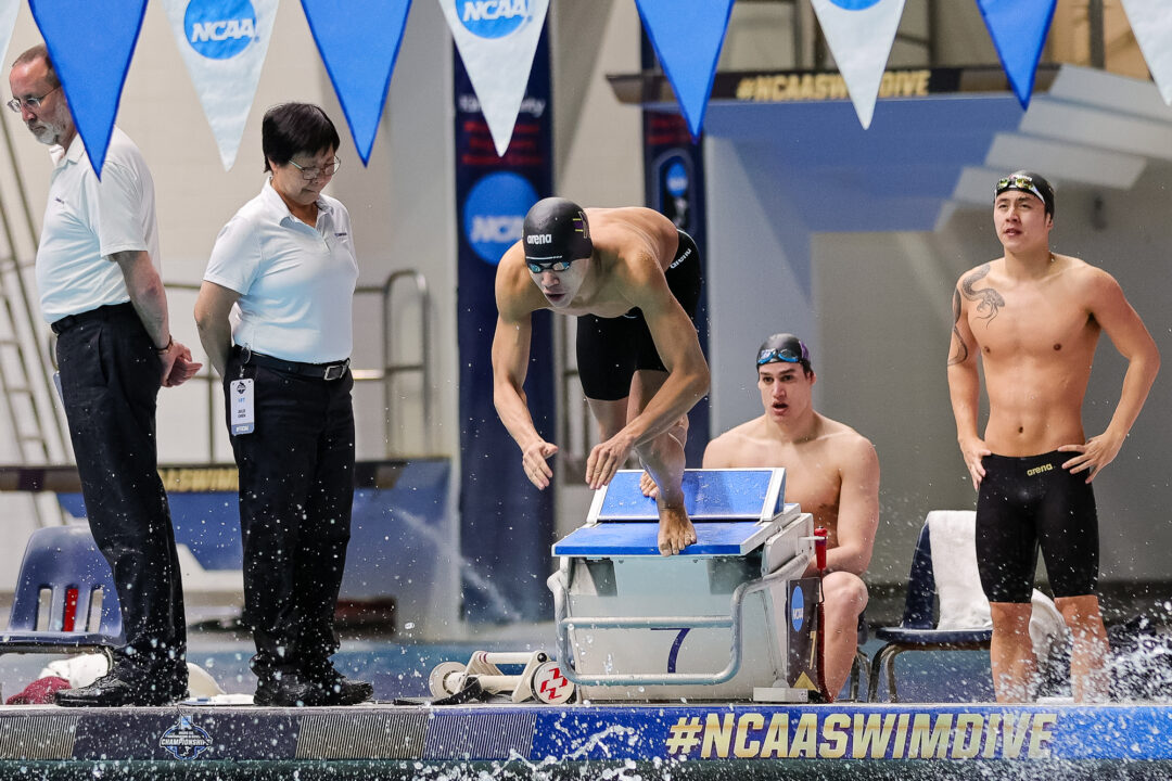 Backstroker Mike Marder Of Israel Commits To Northwestern For 2026