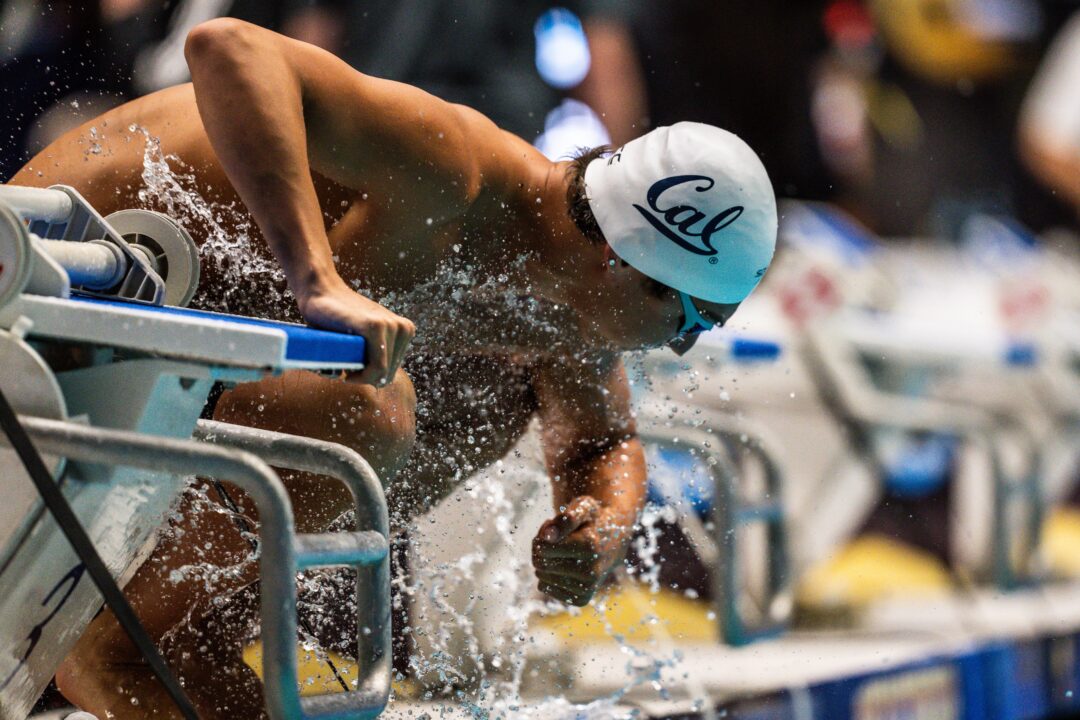 NCAA Qualifier And Brazilian Olympian Eduardo Moraes Joining Cal For 2025-2026 Season