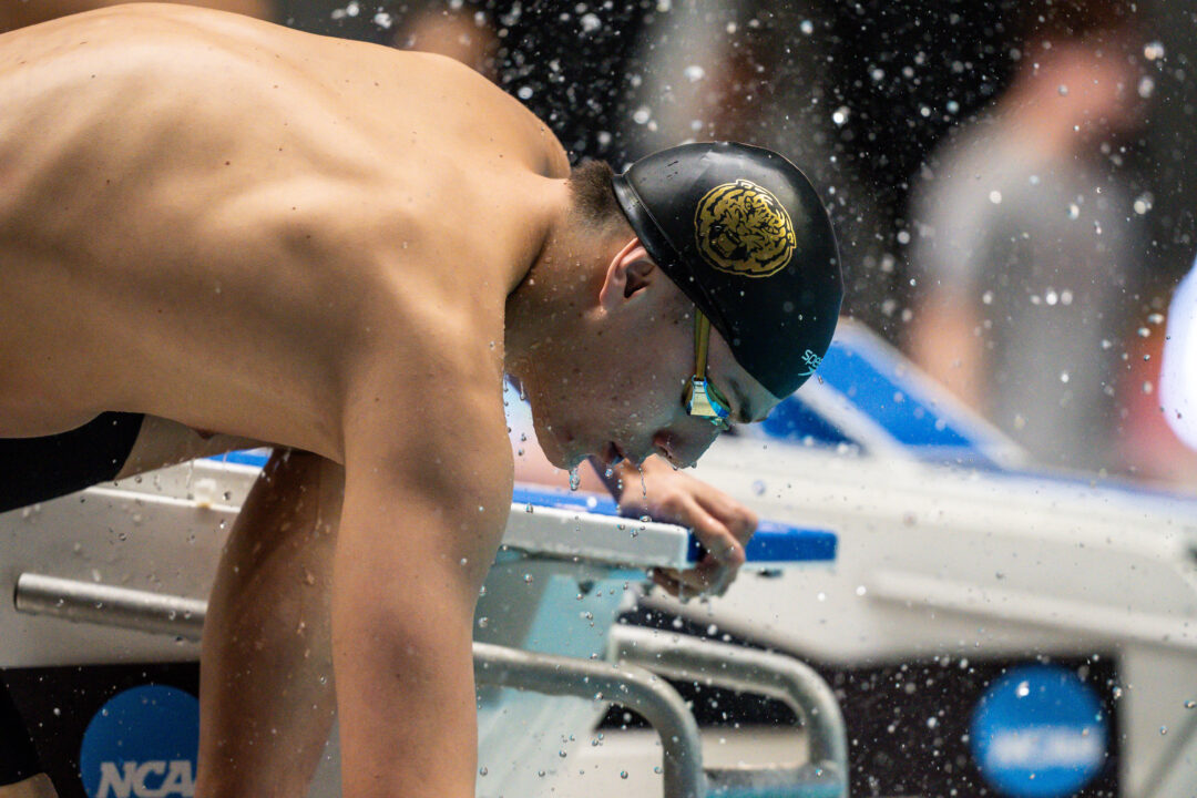 LSU Sets Six Pool Records as Tigers Sweep Kentucky in Home Opener