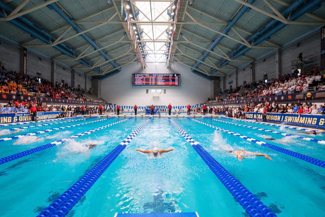 CSCAA Announces Appointment of New College Swimming & Diving Advocacy Council