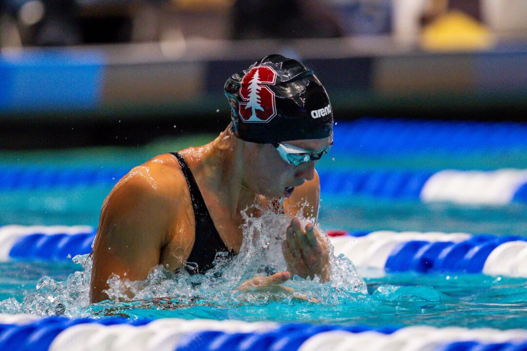 SEC, ACC, & Women’s B1G Conference Previews | SWIMSWAM BREAKDOWN