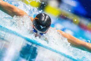 Do You Love Swimming? See 245 Swim Jobs You Might Love