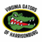 Valley Area Swim Team | Virginia Gators, Harrisonburg