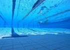 6 Ways This Book Will Help You Build Explosive Underwaters This Season