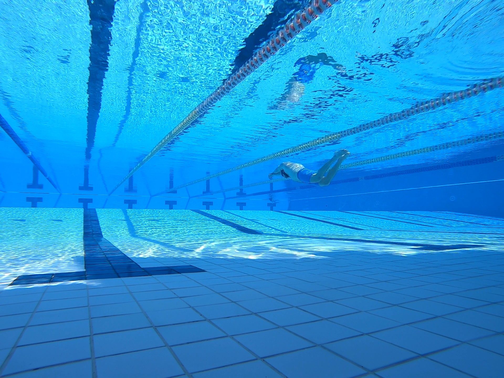 6 Ways This Book Will Help You Build Explosive Underwaters This Season