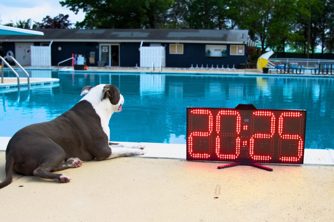 Leave Rivals in the Shade—Neon Pace Clock Dominates Sunlit Practices