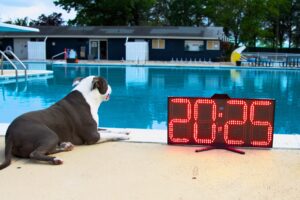 Leave Rivals in the Shade—Neon Pace Clock Dominates Sunlit Practices