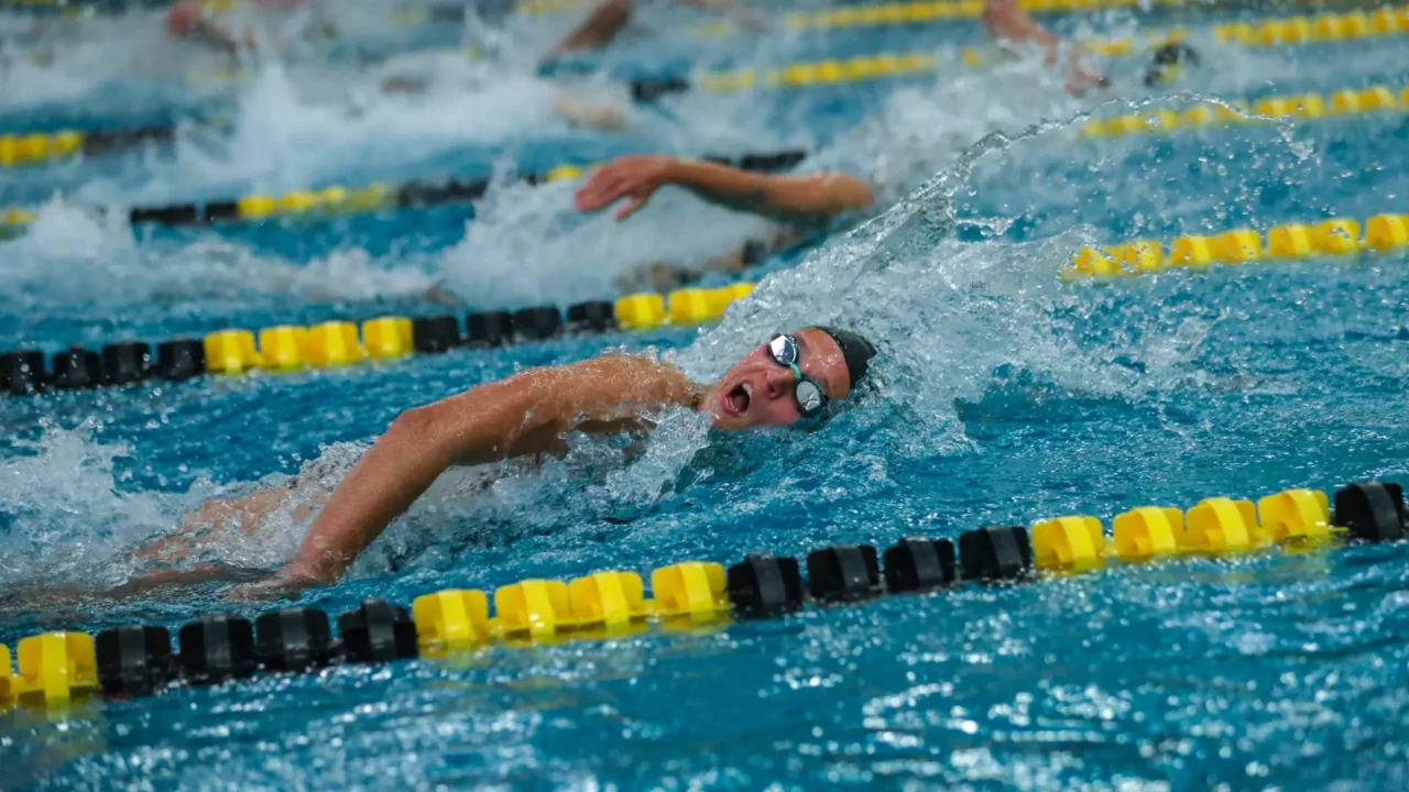 Milwaukee Panthers Cruise To Fifth Straight Sweep of Green Bay