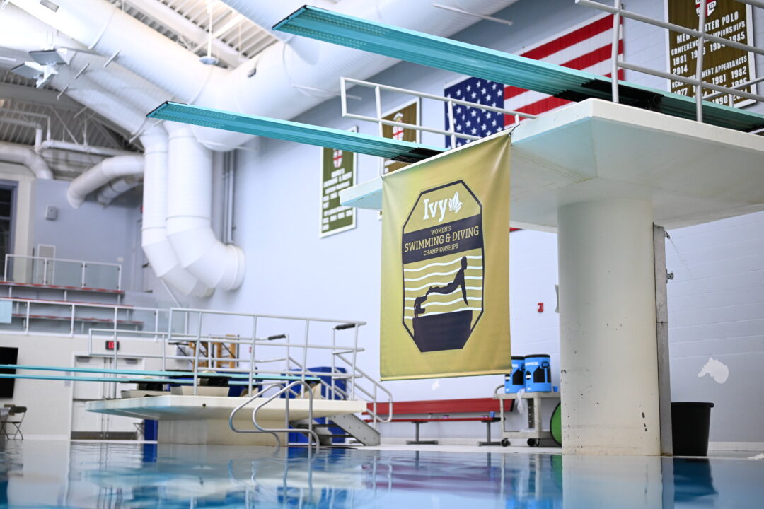Diving Could Use a Revamp – But I Think We Chose The Wrong One