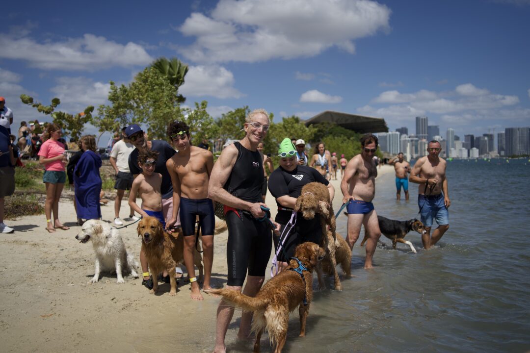 Who Let The Dogs Out? Swim Miami’s K-9 Krawl is the Funnest Race on Six Legs!
