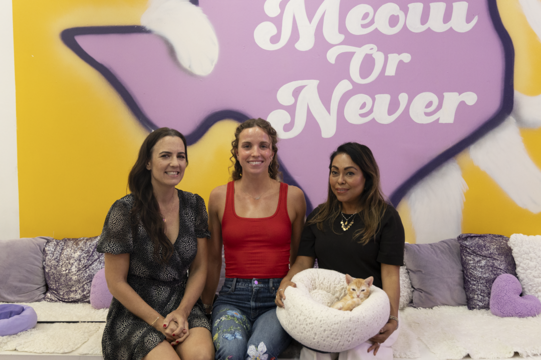 Regan Smith Gets Candid on Cats, Mental Health, and the Tabby Who Keeps Her Grounded