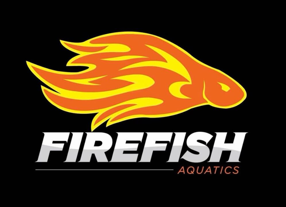 Ryan Woodruff and Lynchburg YMCA Coaches Start New Program “Firefish Aquatics”