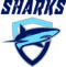 Sharks Swim Club